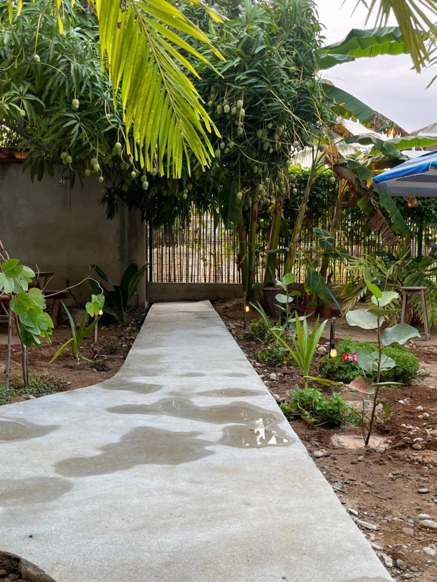 Agua De Coco