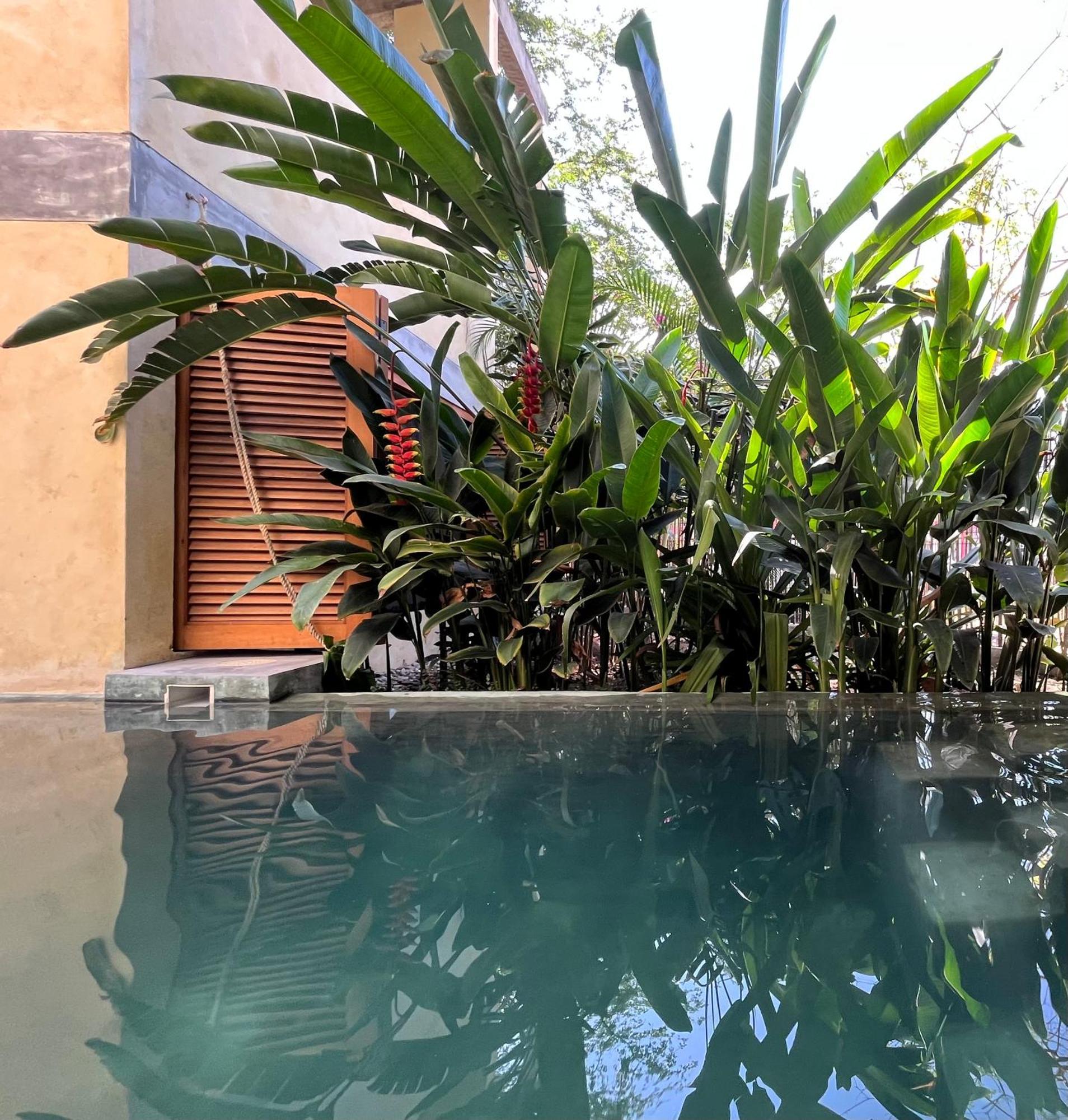 Agua De Coco Homestay